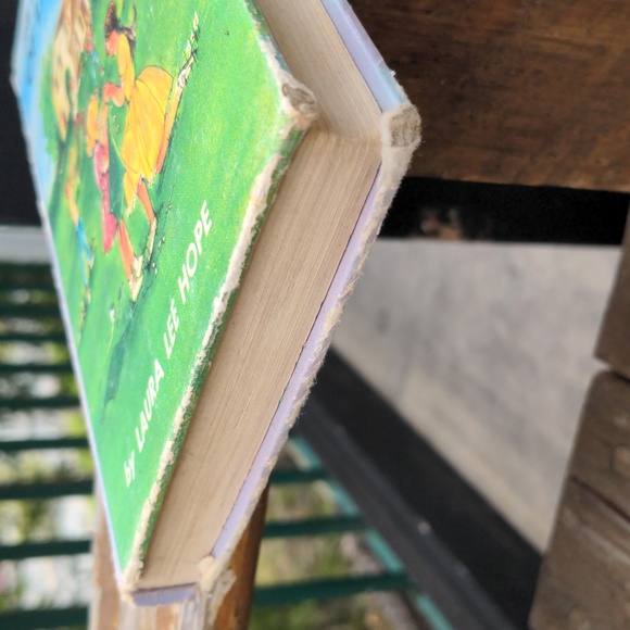 The Bobbsey Twins of Lakeport - Picture 7 of 8